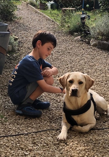 Traiter la peur du chien en thérapie animale Namur région