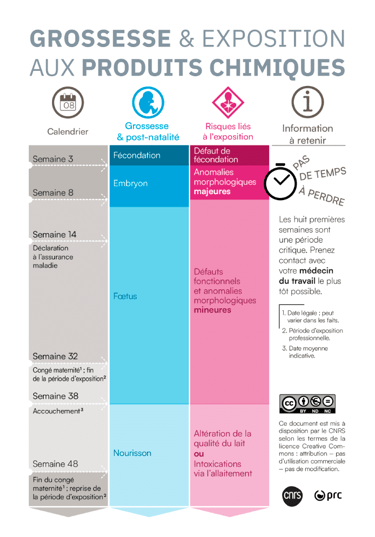 PESTICIDES MALFORMATIONS CONGÉNITALES