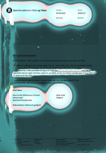 Sofie Kalland Scott, Sara Cecilie Wilhelmsen Solheim, Connie Lien, Hanne Fisknes, Statsforvalteren