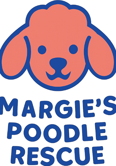 Margie's mini poodle and toy poodle rescue