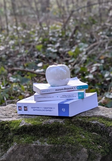 Thérapie individuelle