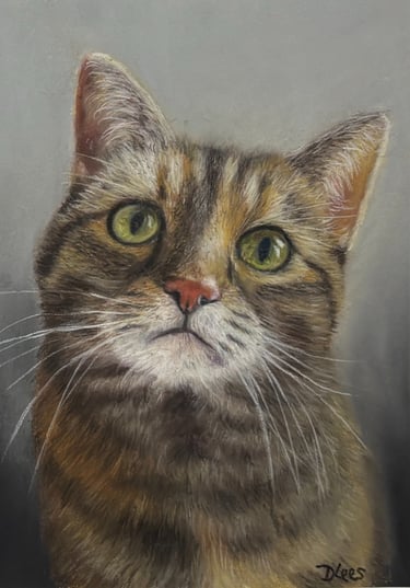 Soft pastel of a Tabby cat looking up for a treat