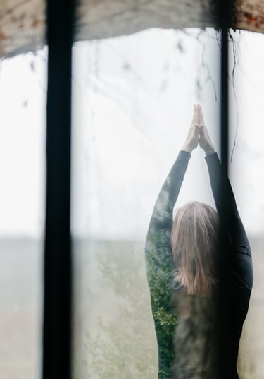 présentation Dorothée Picq