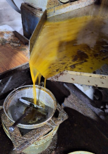 pressage des graines de moutarde