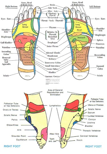 left & right foot reflexology chart