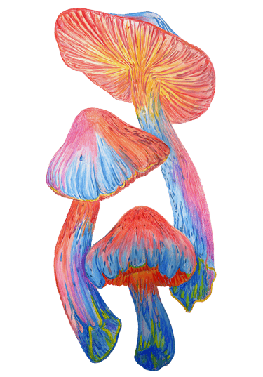 "Abstract Mushrooms" by Sezer Ali