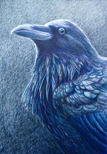 a drawing of a raven in purples and teals on a gray background