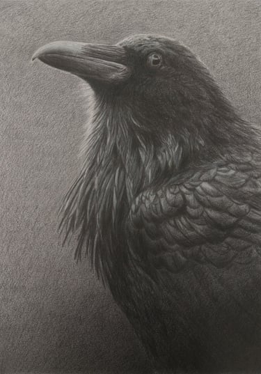a black and white drawing of a raven