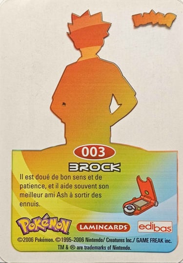  Pierre Lamincards Pokémon série 3 back