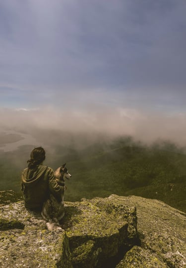 dogAdvisor ✲ dogadvisor ✲ dog advisor ✲ Blog for new dog owners ✲ dogs ✲ dog advisers ✲ dog advisors