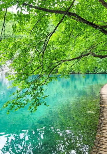 The photo shows amazing nature - a turquoise blue lake and green trees over it, and a small wooden pathway along it.