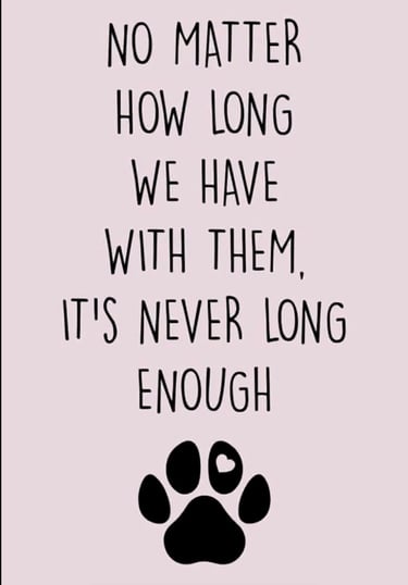 Pet loss quote about how long we have with them is never long enough.”