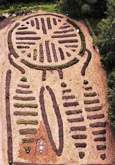 ecostructure canada