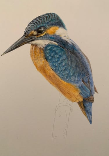 Kingfisher