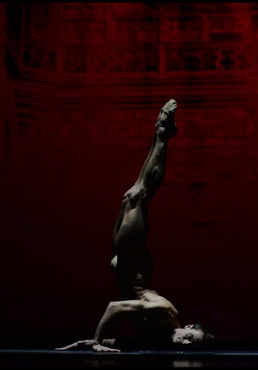 BOLCHOÏ BALLET – GALA RUSSE MONACO – 2015 - Alain Hanel