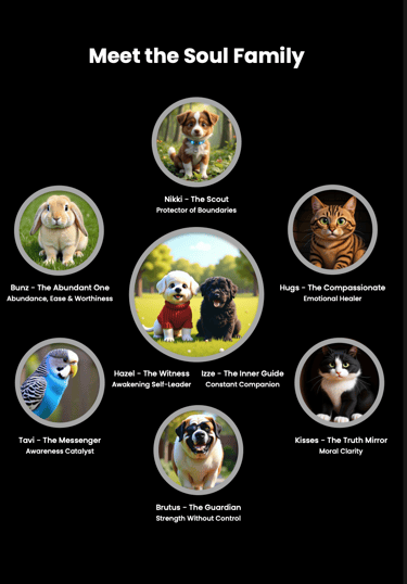 Meet the Soul Family