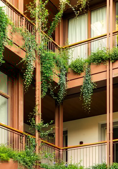 Dettaglio delle logge di Palazzo CorteVerdi: piante rampicanti e arbusti progettati da AG&P greenscape a Cremona.