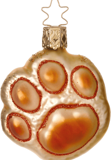 Хелена Кейн