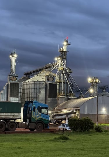 Silo - Ilha da Fantasia - Fazenda Iowa Mato Grosso