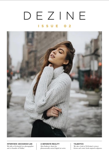 Cover of March 2017 issue of Dezine magazine with article about Tal Avitzur.