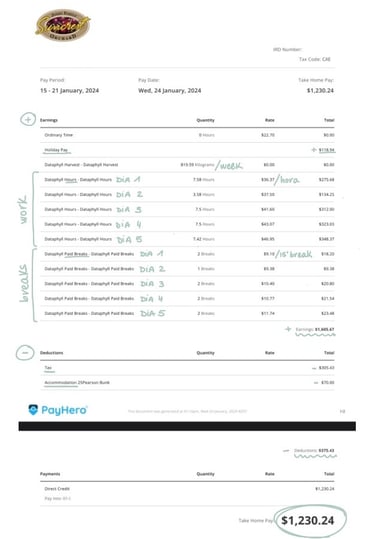 Ejemplo de payslip semanal en las cherries
