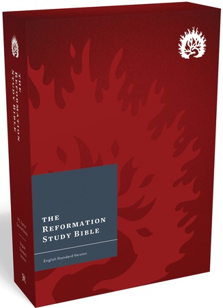 the bible's study bible, the reformation study bible