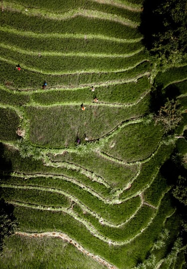 Terrace Farming at Kagay