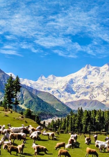 Panoramic view of fairy meadows Pakistan 