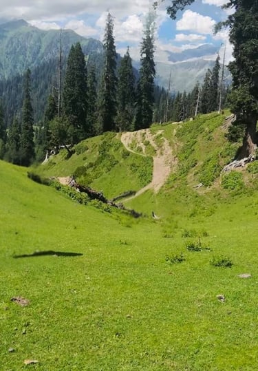 Miranjani peak in summer