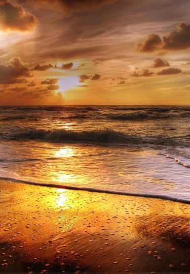 Safety in the Sun - A Summary!