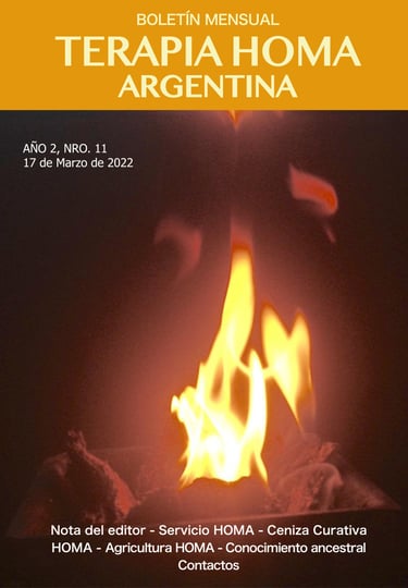 newsletter terapia homa argentina