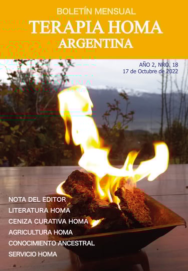 newsletter terapia homa argentina