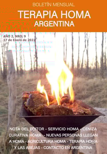 newsletter terapia homa argentina