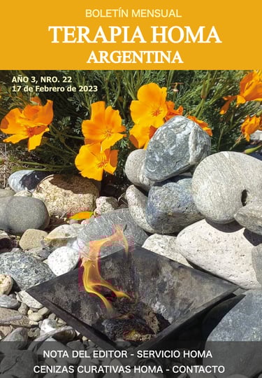 newsletter terapia homa argentina