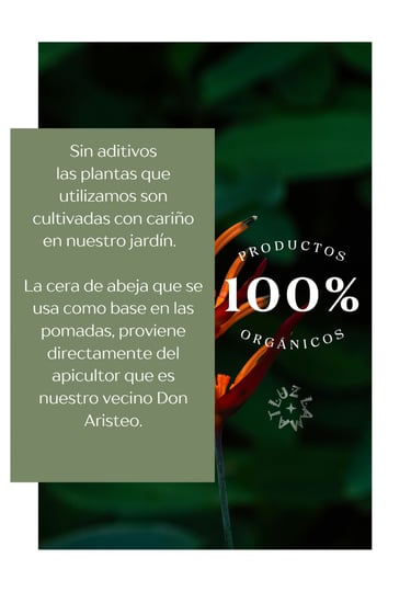 catalogo productos y medicinas naturales eventos luz comunidad maya