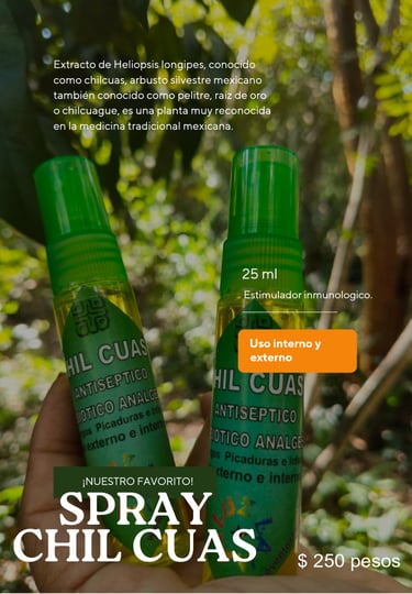 spray chil cuas raiz de oro catalogo productos y medicinas naturales eventos luz comunidad maya