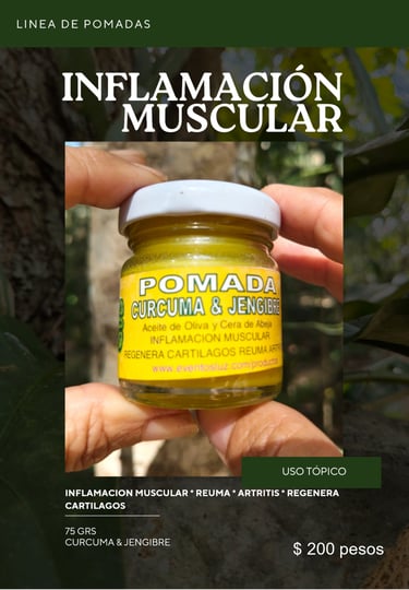pomada de curcuma y jengibre para inflamacion muscular catalogo productos y medicinas naturales eventos luz comunidad maya