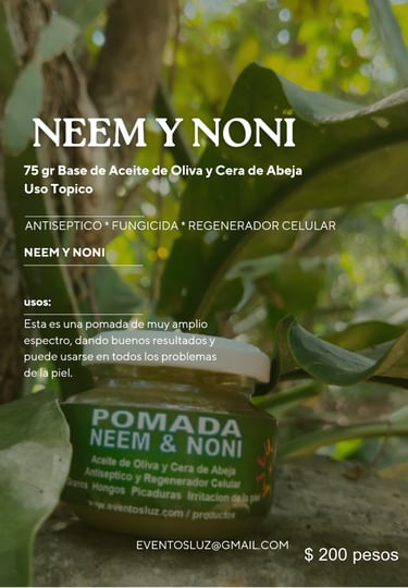 pomada de neem y noni catalogo productos y medicinas naturales eventos luz comunidad maya