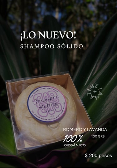 shampoo champu solido catalogo productos y medicinas naturales eventos luz comunidad maya
