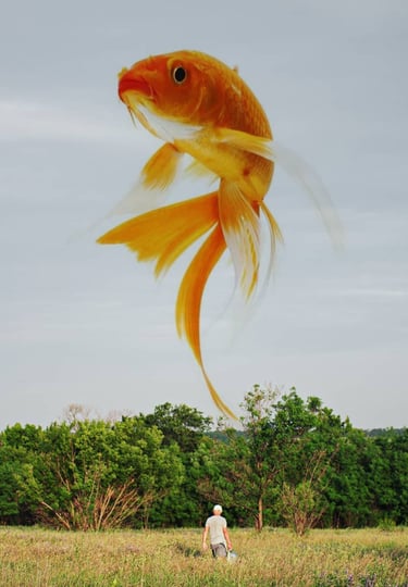 Retuszowanie zdjęć i zwiększanie rozdzielczości