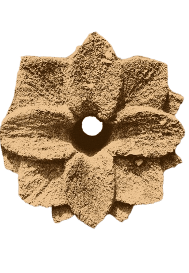 Fleur de pierre