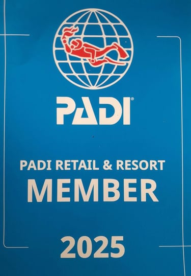 a padi padi padi padi padi padi padi pad