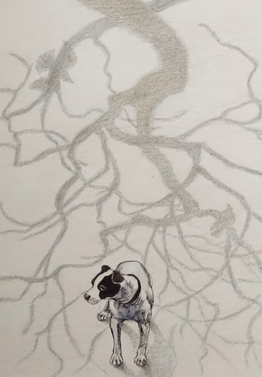 This drawing is made of silverpoint and watercolor ink and depicts a dog surrounded by shadows