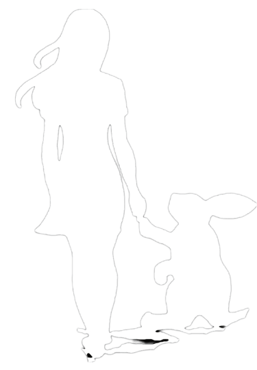 follow the white rabbit