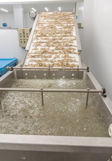 Resfriamento e congelamento rápido de camarões Camarão do Sol