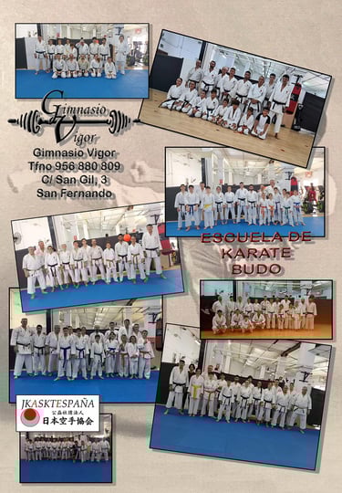 karate gimnasio San Fernando