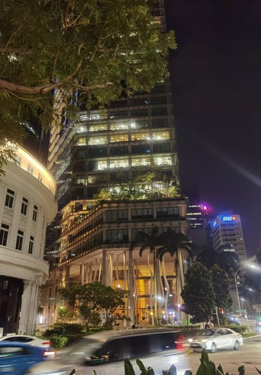 Singapour centre ville Jardin suspendu