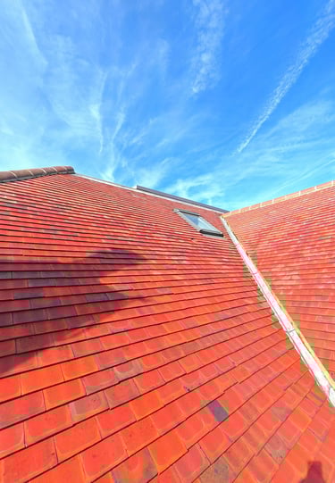 roof cleaning cambridge