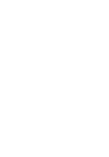 Logo Ineca Conseil