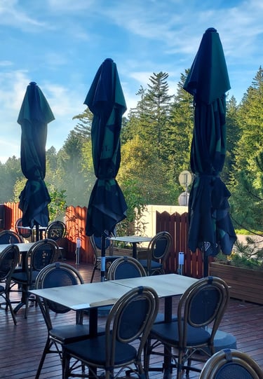 restaurant terrasse aux 2 sapins